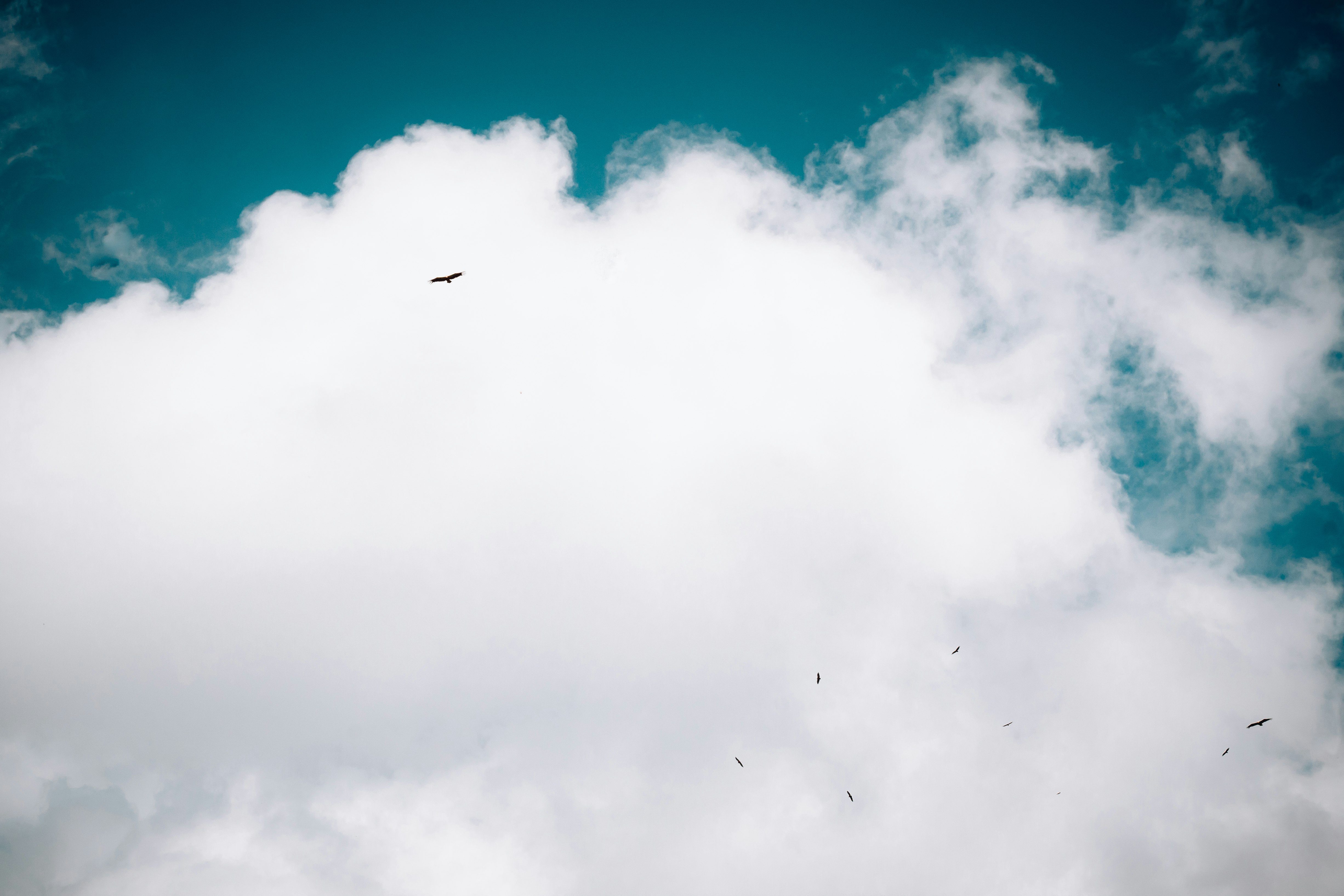 low angle photography of airplane in the sky